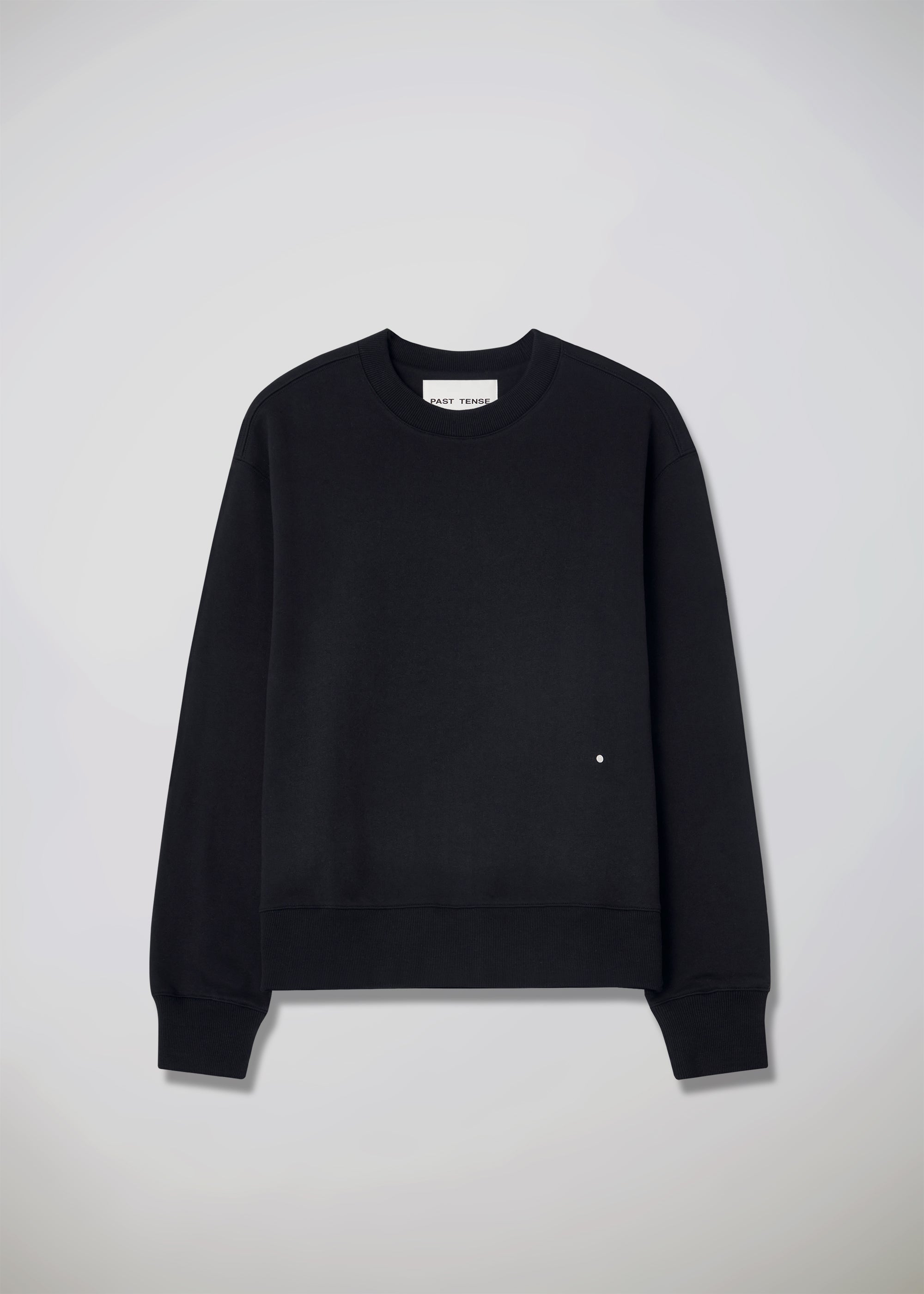 Crewneck Sweatshirt Past Tense