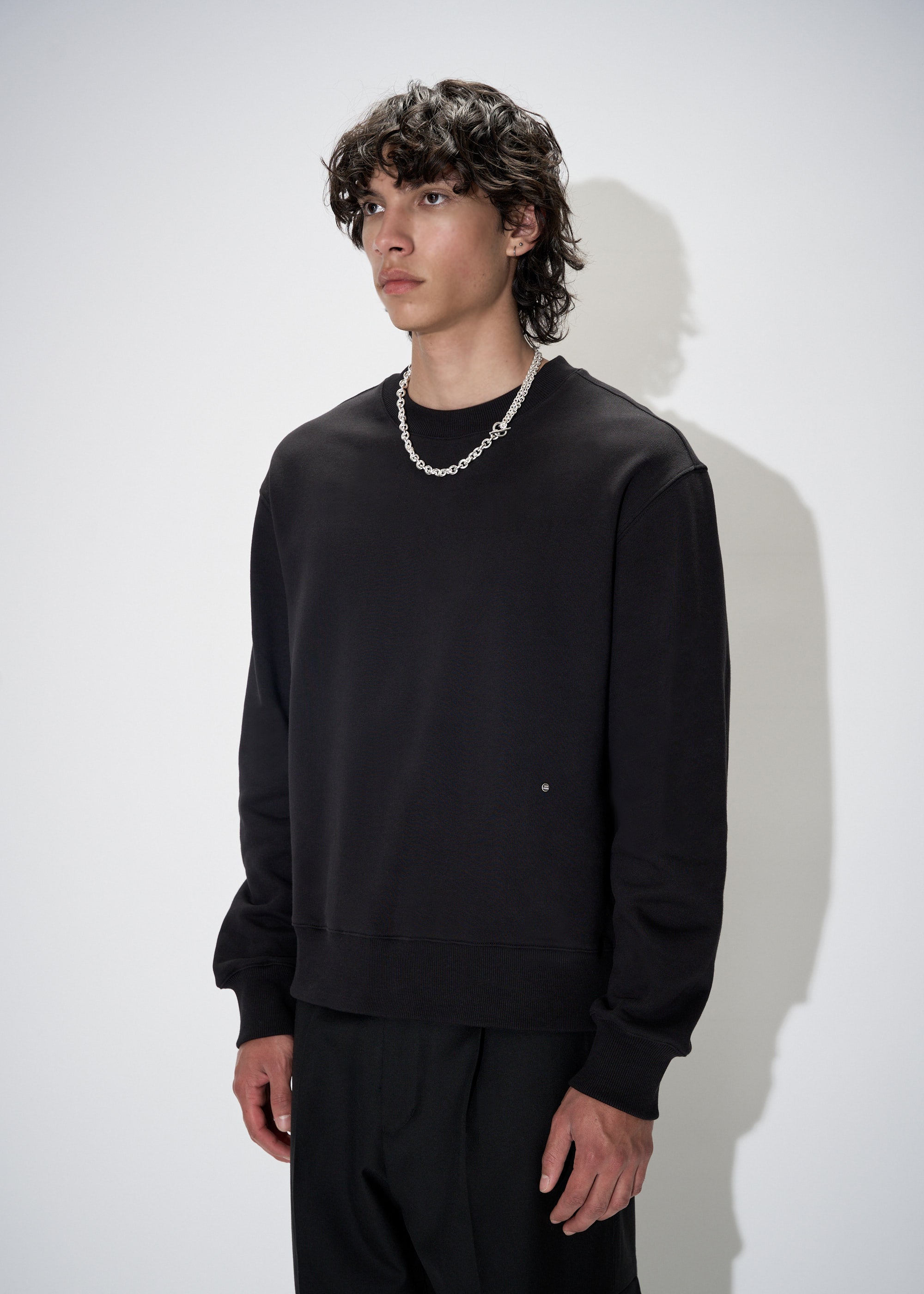 Crewneck Sweatshirt Past Tense