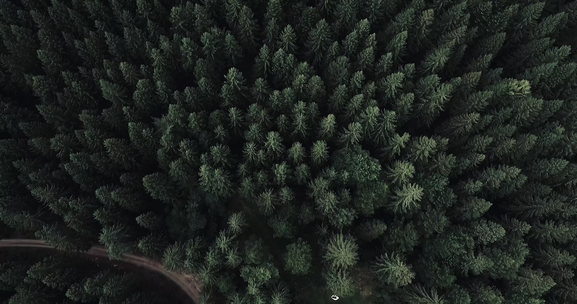 past tense material and sustainable manufacturing